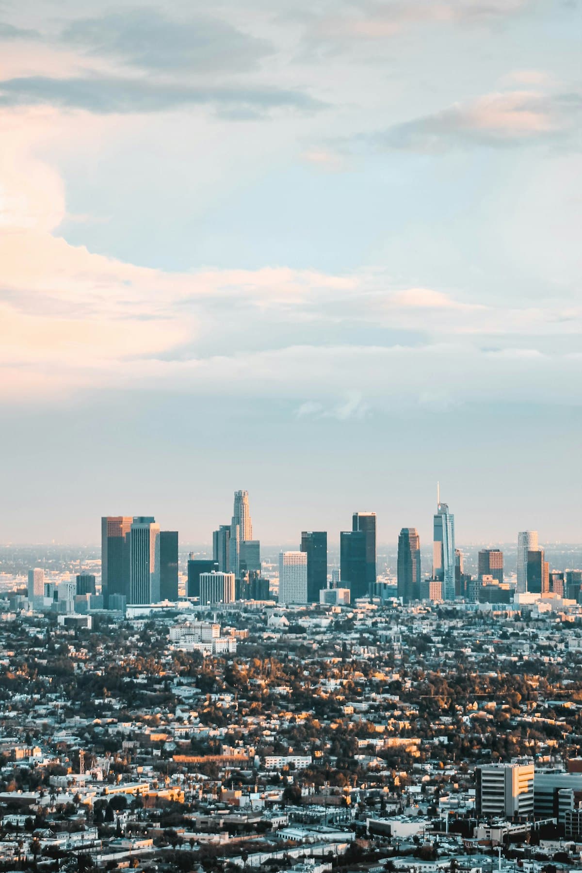 The downtown Los Angeles skyline above the city under a pale sky